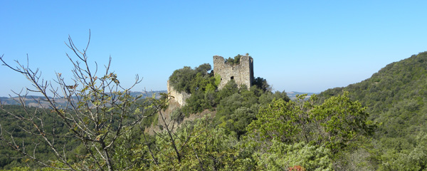Rocca dei Vescovi