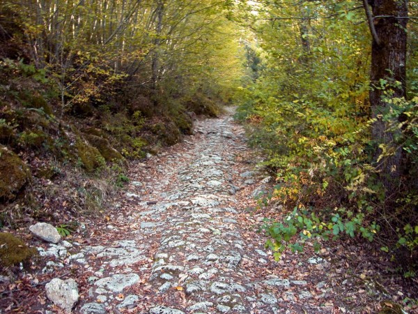 Montemaggio sentiero