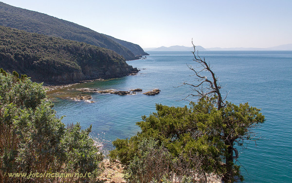 Piombino costa