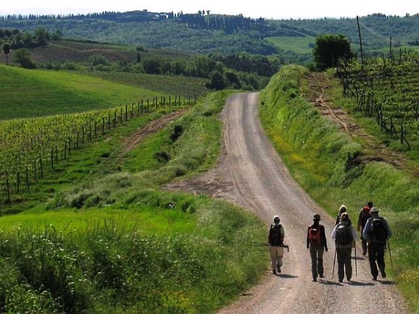 Trek Campagne toscane