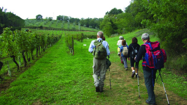 Trekking in Valdelsa