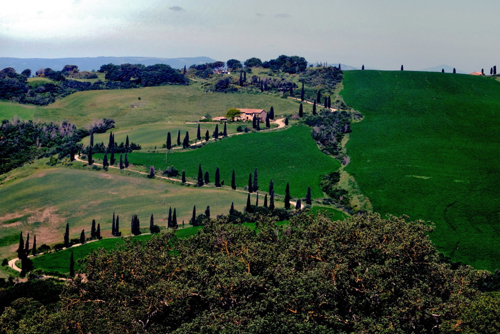 Pietraporciana cipressi Valdorcia