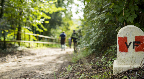 via-francigena-sfuocata